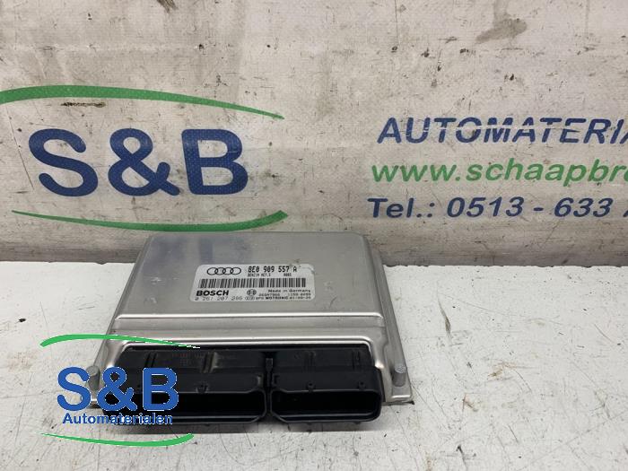 Używane Komputer sterowania silnika Audi A4 (B6) 2.0 20V Cena € 100,00 Procedura marży oferowane przez Schaap & Bron