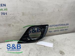 Used Bumper grille Skoda Fabia II (5J) 1.4 TSI 16V RS Price € 10,00 Margin scheme offered by Schaap & Bron