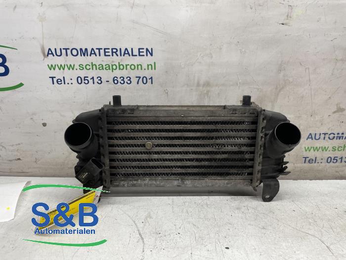 Usagé Intercooler Audi A2 (8Z0) 1.4 TDI Prix € 60,00 Règlement à la marge proposé par Schaap & Bron
