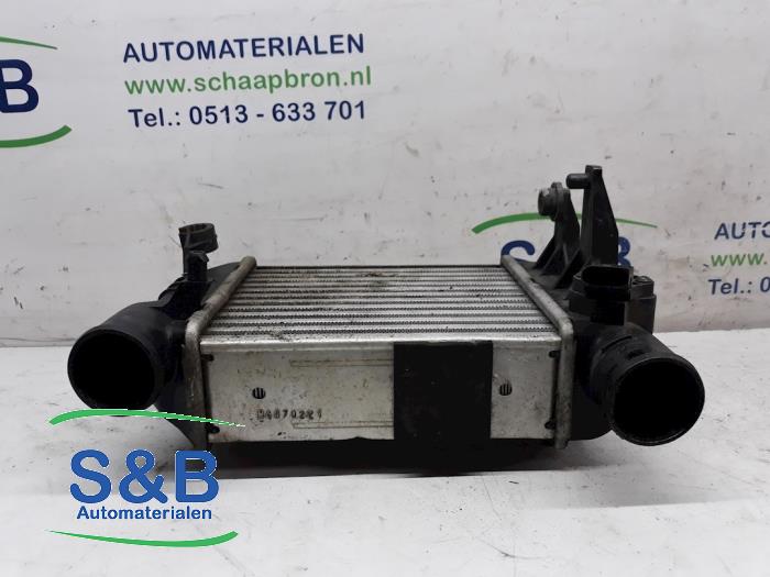 Ladeluftkühler van een Audi A4 Avant Quattro (B7) 1.8 T 20V 2007
