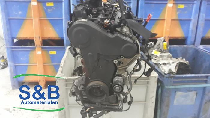 Engine Volkswagen Polo V 1.2 TDI 12V BlueMotion - 010419