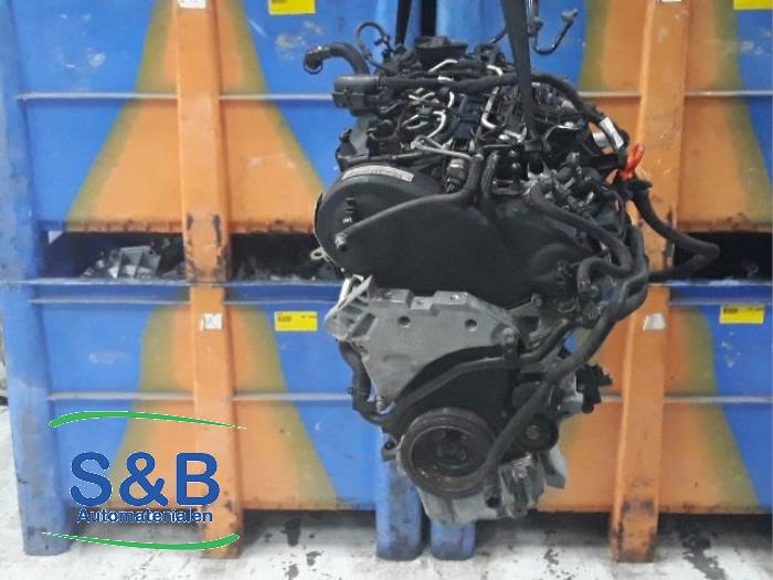 Used Engine Volkswagen Jetta IV (162/16A) 1.6 TDI 16V Price € 1.750,00 Margin scheme offered by Schaap & Bron