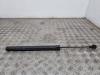 Convertible roof gas strut from a Volkswagen Golf III Cabrio (1E), 1993 / 1998 1.8, Convertible, Petrol, 1.781cc, 55kW (75pk), FWD, AAM, 1993-07 / 1998-05, 1E 1994