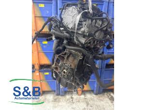 Used Engine Volkswagen Caddy III (2KA,2KH,2CA,2CH) 1.6 TDI 16V Price € 800,00 Margin scheme offered by Schaap & Bron