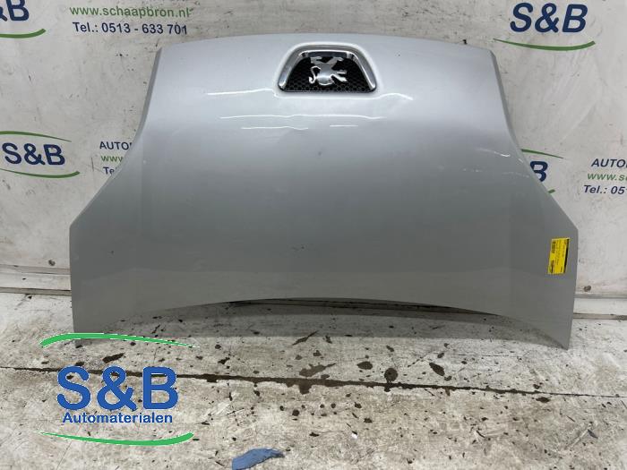 Używane Maska Peugeot Bipper (AA) 1.4 HDi Cena € 75,00 Procedura marży oferowane przez Schaap & Bron