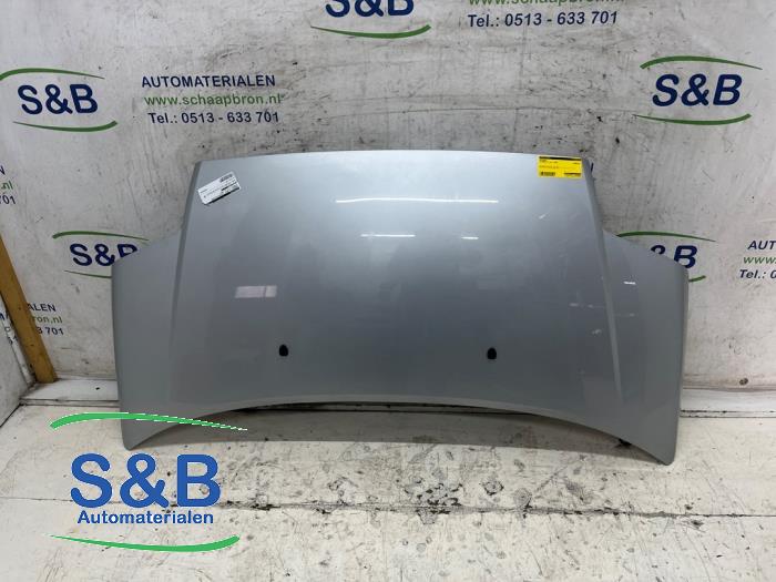 Używane Maska Citroen C2 (JM) 1.4 Cena € 50,00 Procedura marży oferowane przez Schaap & Bron