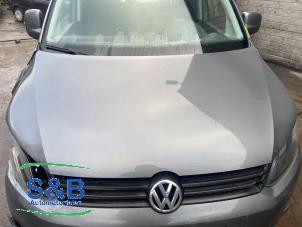 Used Bonnet Volkswagen Caddy III (2KA,2KH,2CA,2CH) 1.6 TDI 16V Price € 199,00 Margin scheme offered by Schaap & Bron