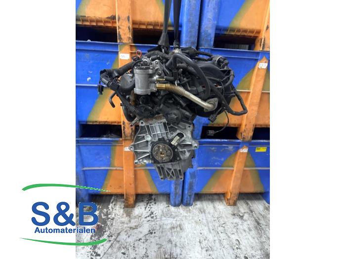 Used Engine Volkswagen Golf V (1K1) 1.6 FSI 16V Price € 450,00 Margin scheme offered by Schaap & Bron