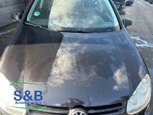 Usados Capó Volkswagen Golf V (1K1) 1.4 TSI 122 16V Precio € 75,00 Norma de margen ofrecido por Schaap & Bron
