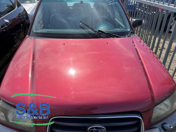 Używane Maska Subaru Forester (SG) 2.0 16V X Cena € 99,00 Procedura marży oferowane przez Schaap & Bron