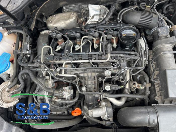 Used Engine Volkswagen Golf VI Variant (AJ5/1KA) 1.6 TDI 16V 105 Price € 1.200,00 Margin scheme offered by Schaap & Bron