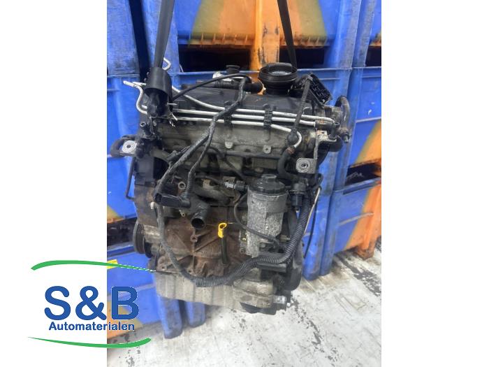 Used Engine Volkswagen Caddy III (2KA,2KH,2CA,2CH) 1.9 TDI Price € 550,00 Margin scheme offered by Schaap & Bron