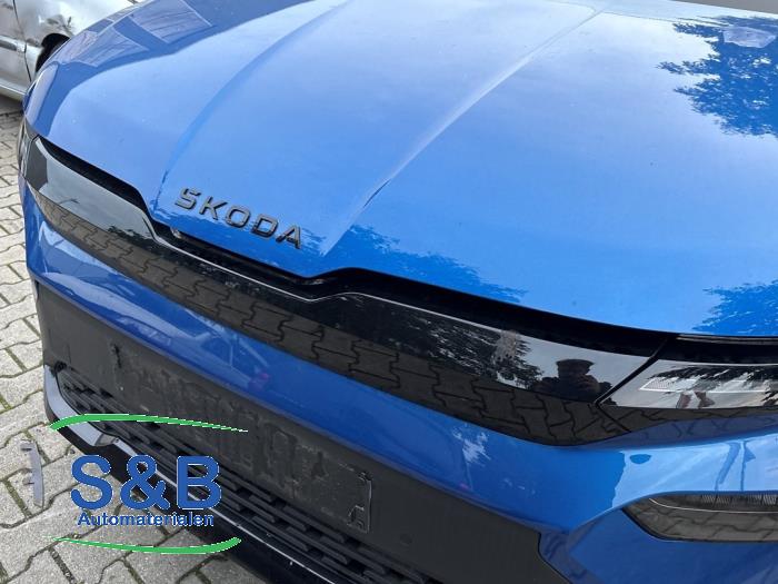 Używane Grill Skoda Elroq 60 Cena na żądanie oferowane przez Schaap & Bron