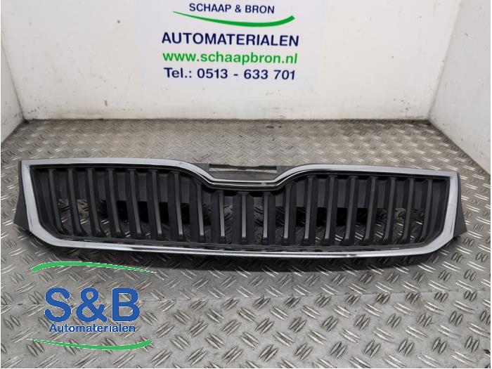 Używane Grill Skoda Rapid 1.2 HTP 12V Cena € 54,99 Procedura marży oferowane przez Schaap & Bron