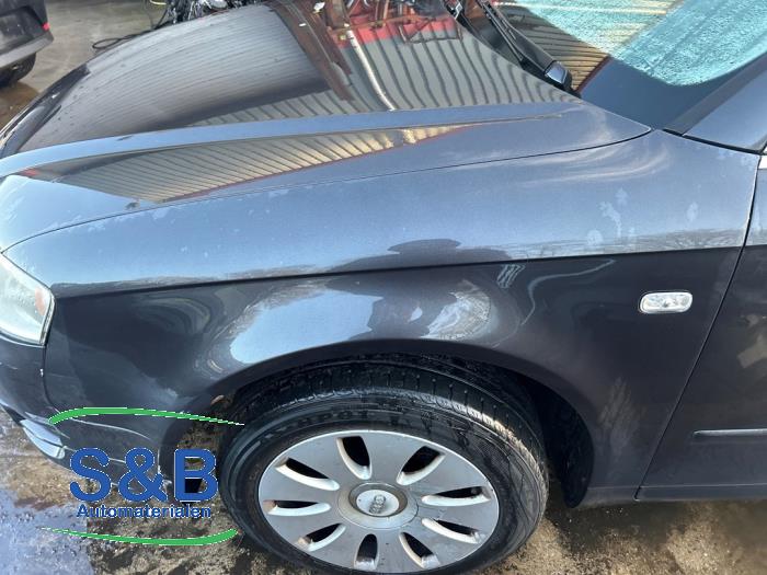 Używane Ekran lewy przód Audi A4 Avant (B7) 2.0 20V Cena € 60,00 Procedura marży oferowane przez Schaap & Bron