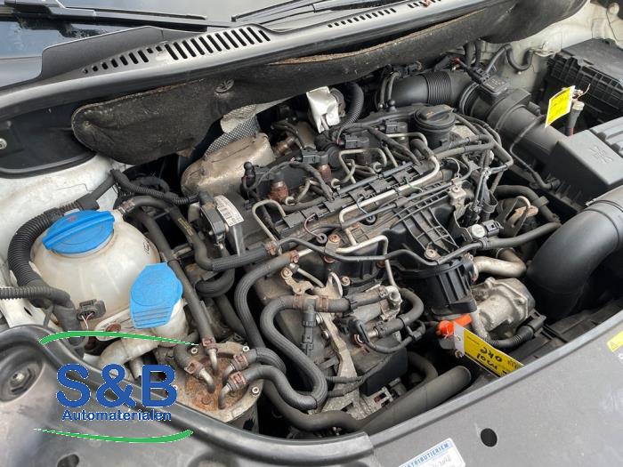 Used Engine Volkswagen Caddy III (2KA,2KH,2CA,2CH) 1.6 TDI 16V Price € 1.500,00 Margin scheme offered by Schaap & Bron