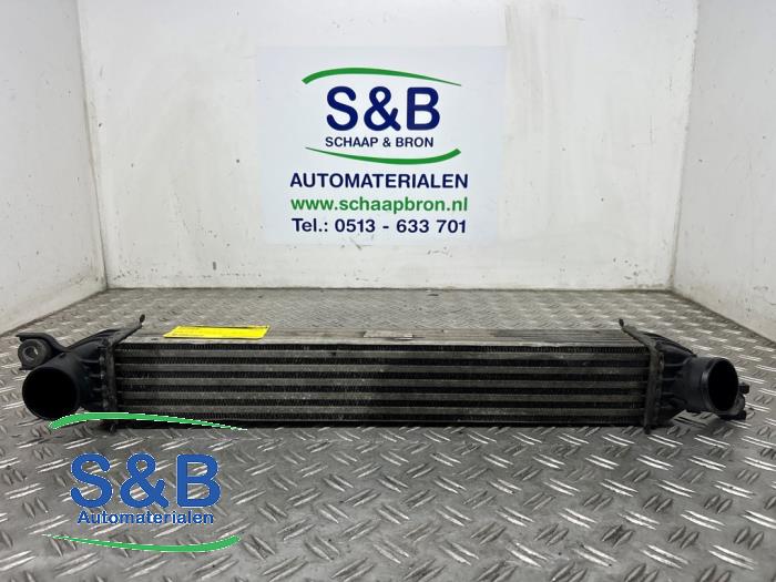 Gebrauchte Ladeluftkühler Mini Countryman (R60) 1.6 16V Cooper S Preis € 25,00 Margenregelung angeboten von Schaap & Bron
