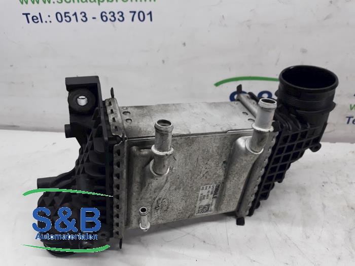 Usados Intercooler Volkswagen Transporter T6 2.0 TDI 150 4Motion Precio € 99,00 Norma de margen ofrecido por Schaap & Bron