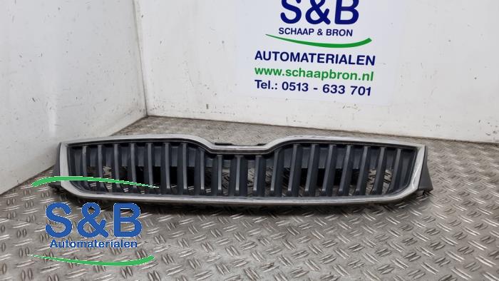 Używane Grill Skoda Rapid 1.2 TSI Cena € 49,99 Procedura marży oferowane przez Schaap & Bron