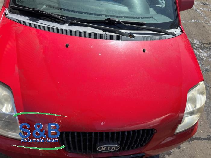 Usados Capó Kia Picanto (BA) 1.0 12V Precio € 65,00 Norma de margen ofrecido por Schaap & Bron