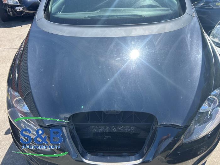 Używane Maska Seat Altea XL (5P5) 1.2 TSI Cena € 95,00 Procedura marży oferowane przez Schaap & Bron