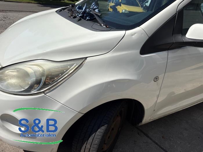 Używane Ekran lewy przód Ford Ka II 1.2 Cena € 125,00 Procedura marży oferowane przez Schaap & Bron