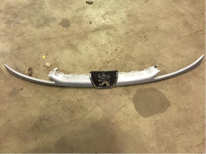 Używane Grill Peugeot 206 (2A/C/H/J/S) 1.6 16V Cena € 35,00 Procedura marży oferowane przez F. van den Mosselaar autodemontage