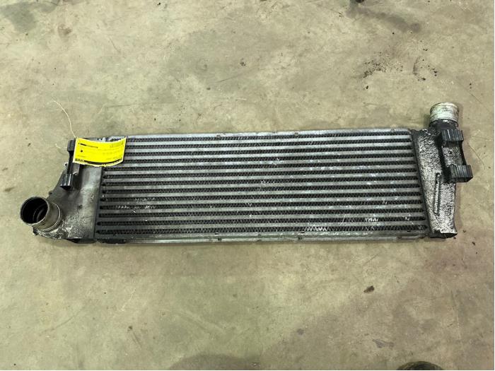 Usados Intercooler Renault Megane II (BM/CM) 1.9 dCi 120 Precio € 20,00 Norma de margen ofrecido por F. van den Mosselaar autodemontage