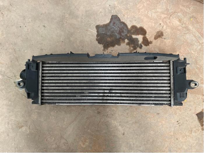 Usagé Intercooler Renault Trafic New (FL) 2.5 dCi 16V 145 Prix € 50,00 Règlement à la marge proposé par F. van den Mosselaar autodemontage