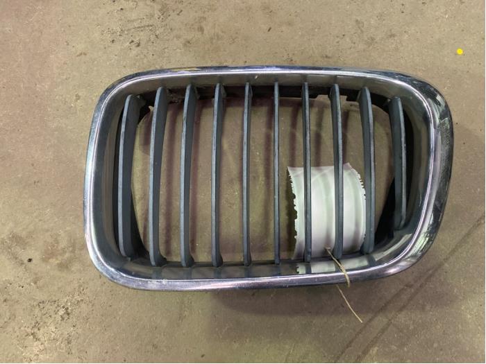 Begagnade Grill BMW 3 serie (E46/4) 330i 24V Pris € 15,00 Marginaltabell erbjuds av F. van den Mosselaar autodemontage