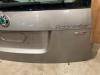 Tailgate from a Skoda Roomster (5J) 1.4 TDI 80 2007
