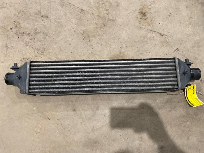 Used Intercooler Fiat Bravo (198A) 1.6 JTD Multijet 105 Price € 25,00 Margin scheme offered by F. van den Mosselaar autodemontage