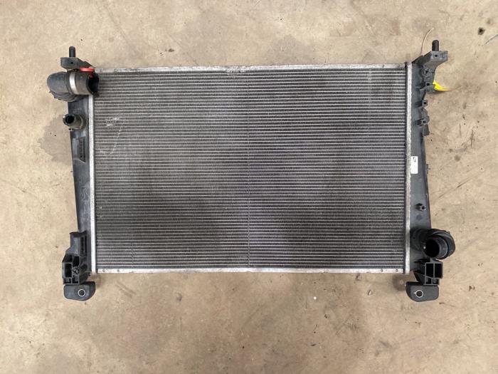 Usagé Radiateur Fiat Bravo (198A) 1.6 JTD Multijet 105 Prix € 50,00 Règlement à la marge proposé par F. van den Mosselaar autodemontage