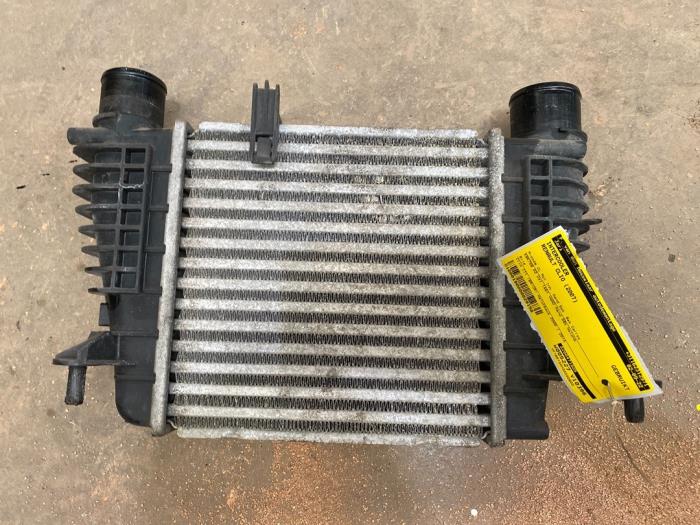 Usagé Intercooler Renault Clio III (BR/CR) 1.5 dCi 70 Prix € 35,00 Règlement à la marge proposé par F. van den Mosselaar autodemontage