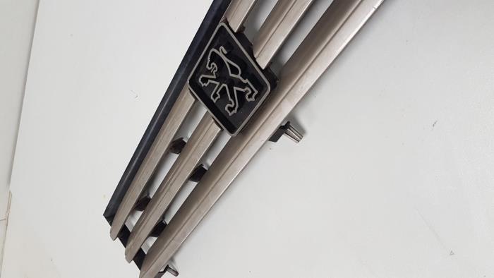 Używane Grill Peugeot 309 II (3C/3A) 1.6 Cena € 20,00 Procedura marży oferowane przez F. van den Mosselaar autodemontage