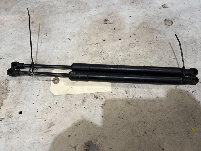 Tailgate strut