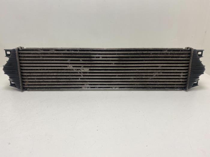 Usados Intercooler Renault Master II (JD) 2.5 dCi 115 Precio € 25,00 Norma de margen ofrecido por F. van den Mosselaar autodemontage