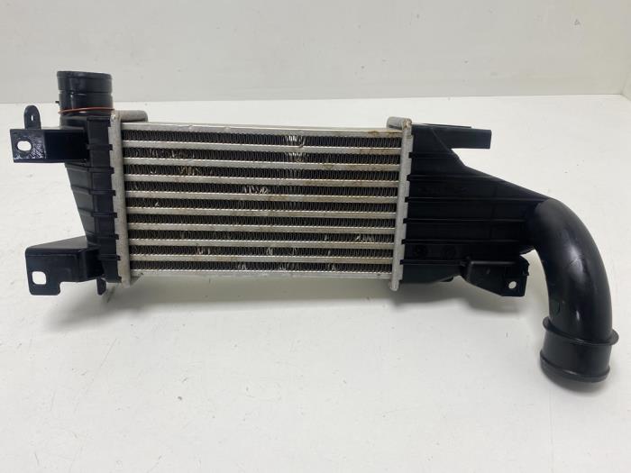 Usagé Intercooler Opel Astra H (L48) 1.7 CDTi 16V Prix € 25,00 Règlement à la marge proposé par F. van den Mosselaar autodemontage