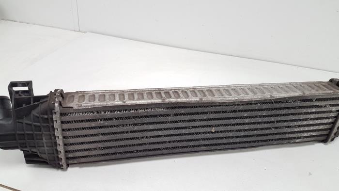 Usados Intercooler Ford Focus 2 1.6 TDCi 16V 110 Precio € 18,50 Norma de margen ofrecido por F. van den Mosselaar autodemontage