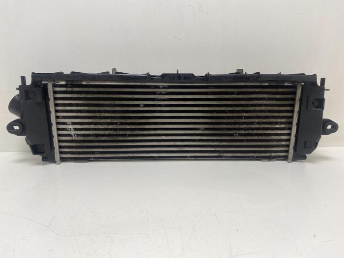 Usagé Intercooler Renault Trafic New (FL) 2.0 dCi 16V 90 Prix € 50,00 Règlement à la marge proposé par F. van den Mosselaar autodemontage