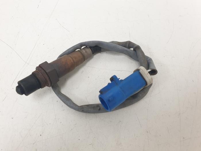 Używane Sonda lambda Ford Focus 2 1.6 16V Cena € 10,00 Procedura marży oferowane przez F. van den Mosselaar autodemontage