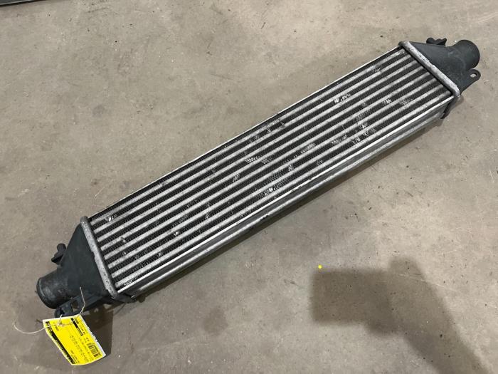 Usagé Intercooler Fiat Punto II (188) 1.4 16V Prix € 20,00 Règlement à la marge proposé par F. van den Mosselaar autodemontage