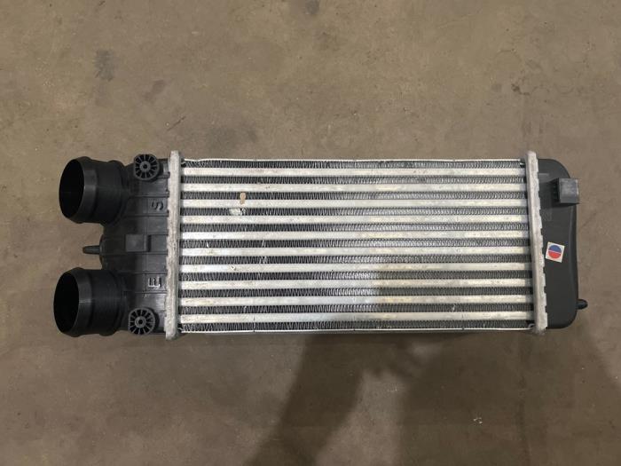 Usados Intercooler Peugeot 207/207+ (WA/WC/WM) 1.6 16V RC Turbo Precio € 50,00 Norma de margen ofrecido por F. van den Mosselaar autodemontage