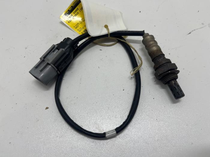 Usados Sonda Lambda Kia Opirus 3.5 V6 24V Precio € 25,00 Norma de margen ofrecido por F. van den Mosselaar autodemontage