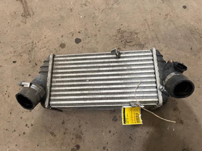Used Intercooler Hyundai i20 1.1 CRDi VGT 12V Price € 35,00 Margin scheme offered by F. van den Mosselaar autodemontage