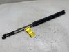 Ford Focus 3 1.0 Ti-VCT EcoBoost 12V 100 Kit amortisseur gaz hayon