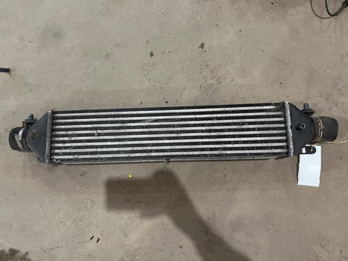 Usados Intercooler Fiat Doblo Cargo (263) 1.3 MJ 16V Euro 4 Precio € 25,00 Norma de margen ofrecido por F. van den Mosselaar autodemontage