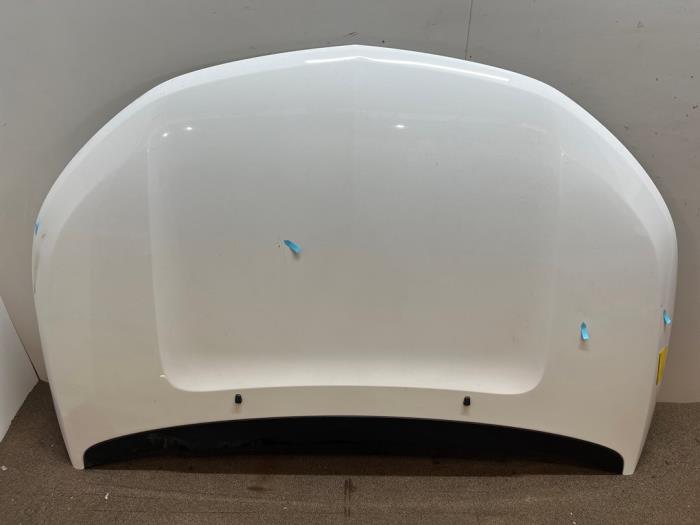 Używane Maska Opel Ampera 1.4 16V Cena € 250,00 Procedura marży oferowane przez F. van den Mosselaar autodemontage