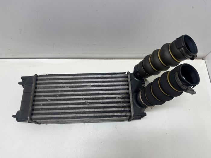 Usados Intercooler Peugeot 308 SW (4E/H) 1.6 HDi 16V FAP Precio € 25,00 Norma de margen ofrecido por F. van den Mosselaar autodemontage