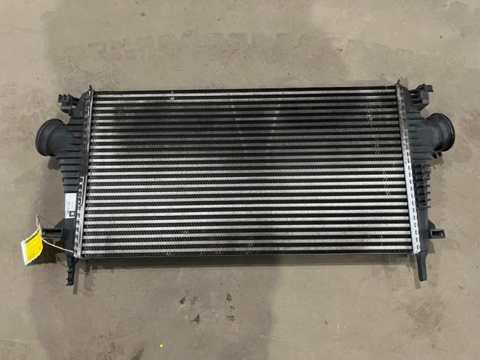 Usagé Intercooler Opel Insignia Sports Tourer 2.0 CDTI 16V 130 ecoFLEX Prix € 35,00 Règlement à la marge proposé par F. van den Mosselaar autodemontage